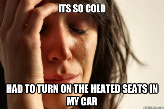 ITS SO COLD HAD TO TURN ON THE HEATED SEATS IN MY CAR  First World Problems