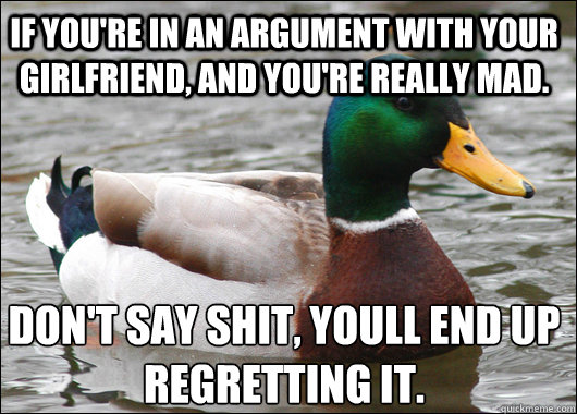 IF YOU'RE IN AN ARGUMENT WITH YOUR GIRLFRIEND, AND YOU'RE REALLY MAD. DON'T SAY SHIT, YOULL END UP REGRETTING IT.  Actual Advice Mallard