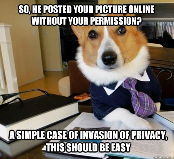 So, he posted your picture online without your permission? a simple case of invasion of privacy, this should be easy - So, he posted your picture online without your permission? a simple case of invasion of privacy, this should be easy  Lawyer Dog