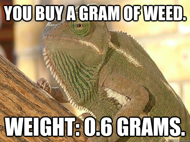 You buy a gram of weed.  Weight: 0.6 grams.  - You buy a gram of weed.  Weight: 0.6 grams.   Bad Kharma Chameleon
