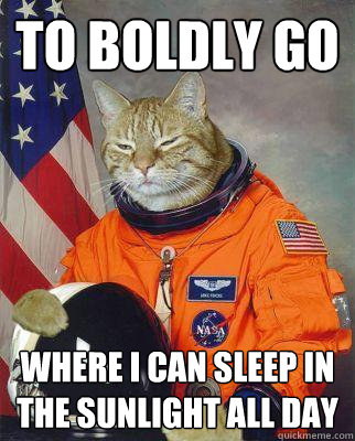 to boldly go where I can sleep in the sunlight all day - to boldly go where I can sleep in the sunlight all day  Astronaut cat