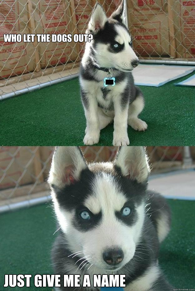 who let the dogs out? just give me a name  Insanity puppy