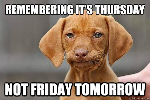 remembering it’s thursday  not friday tomorrow   Doggy