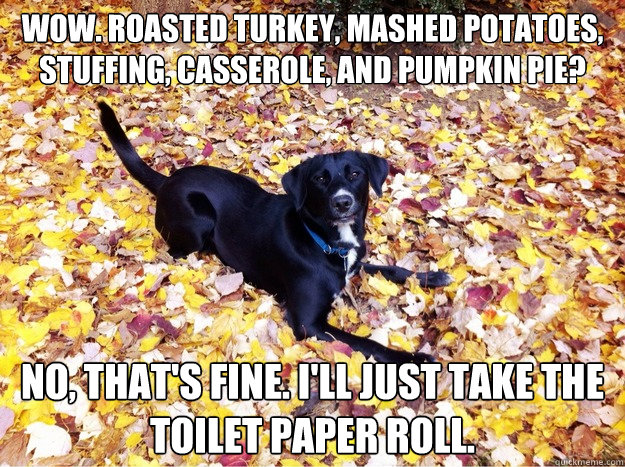 Wow. Roasted Turkey, mashed potatoes, stuffing, casserole, and pumpkin pie? No, that's fine. I'll just take the toilet paper roll. - Wow. Roasted Turkey, mashed potatoes, stuffing, casserole, and pumpkin pie? No, that's fine. I'll just take the toilet paper roll.  Guilt Giving Good Dog