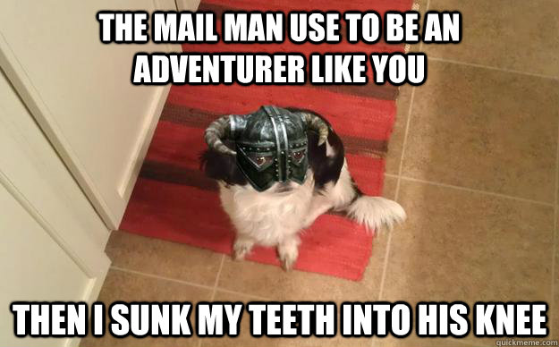The mail man use to be an adventurer like you then I sunk my teeth into his knee - The mail man use to be an adventurer like you then I sunk my teeth into his knee  Skyrim Dog