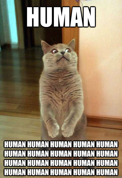 human human human human human human human human human human human human human human human human human human human human human  - human human human human human human human human human human human human human human human human human human human human human   Horrorcat