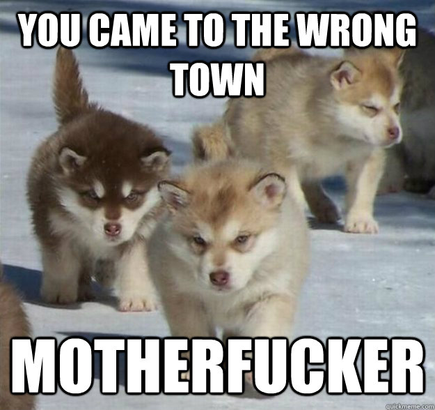 you came to the wrong town motherfucker - you came to the wrong town motherfucker  wrongtown