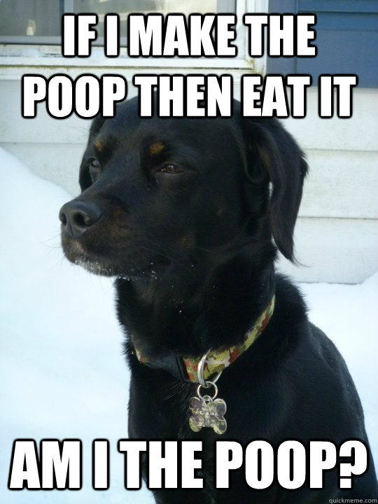 If I make the poop then eat it am i the poop? - If I make the poop then eat it am i the poop?  Philosophical Puppy