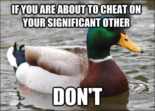 If you are about to cheat on your significant other don't  Actual Advice Mallard