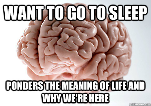 want to go to sleep ponders the meaning of life and why we're here  Scumbag Brain