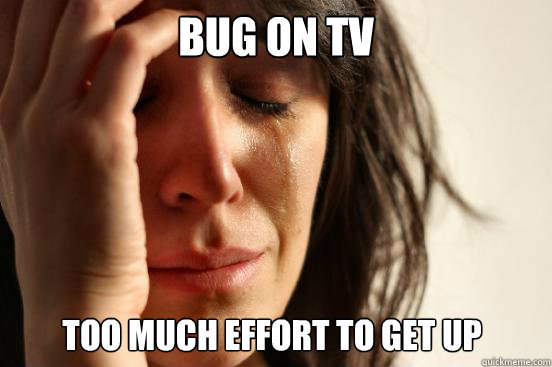 Bug on tv too much effort to get up  First World Problems