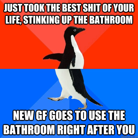 Just took the best shit of your life, stinking up the bathroom New gf goes to use the bathroom right after you  Socially Awesome Awkward Penguin