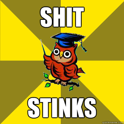 shit stinks - shit stinks  Observational Owl