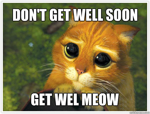 Don't get well soon get wel meow  