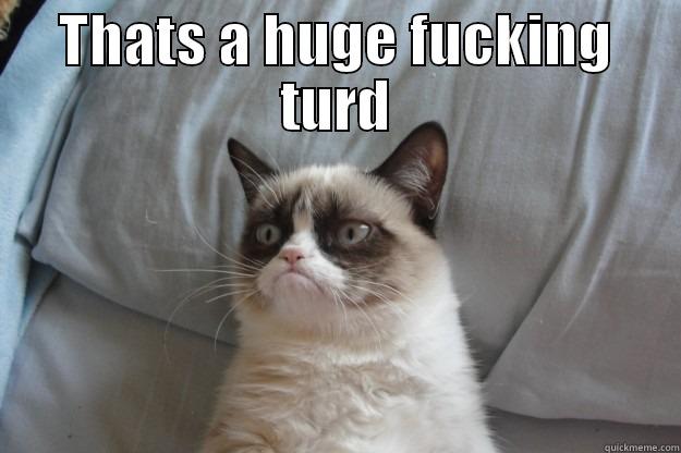 THATS A HUGE FUCKING TURD  Grumpy Cat