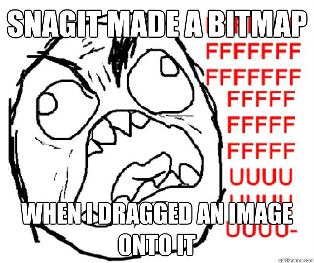 Snagit made a bitmap when I dragged an image onto it  Rage Guy