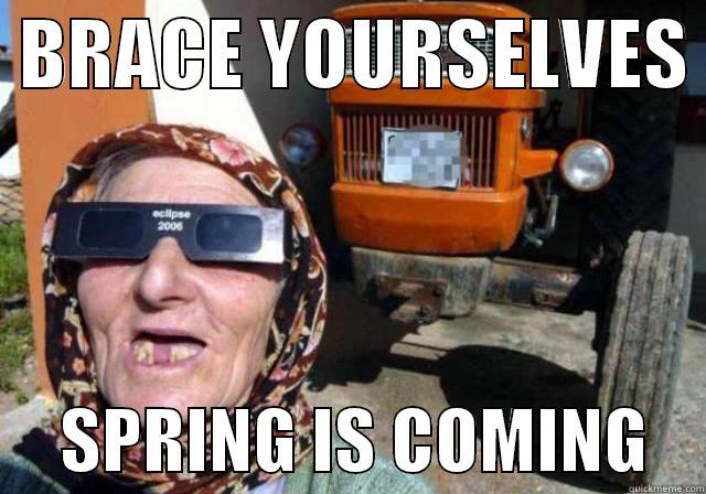  BRACE YOURSELVES       SPRING IS COMING    Misc