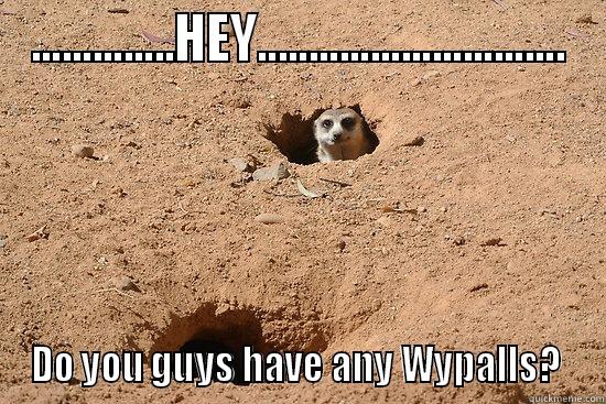 ..............HEY.............................. DO YOU GUYS HAVE ANY WYPALLS?  Misc