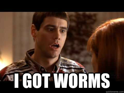  I got worms  