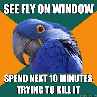 see fly on window spend next 10 minutes trying to kill it  Paranoid Parrot