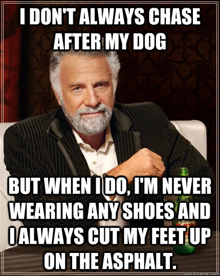 I don't always chase after my dog But when I do, I'm never wearing any shoes and I always cut my feet up on the asphalt.  The Most Interesting Man In The World