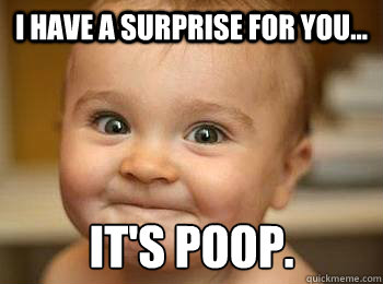 I have a surprise for you... It's poop. - I have a surprise for you... It's poop.  Surprise Baby