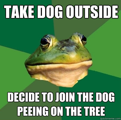 take dog outside decide to join the dog peeing on the tree  Foul Bachelor Frog