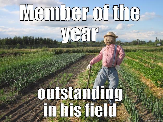 MEMBER OF THE YEAR OUTSTANDING IN HIS FIELD Scarecrow