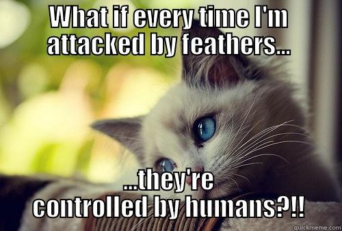 WHAT IF EVERY TIME I'M ATTACKED BY FEATHERS... ...THEY'RE CONTROLLED BY HUMANS?!! First World Problems Cat