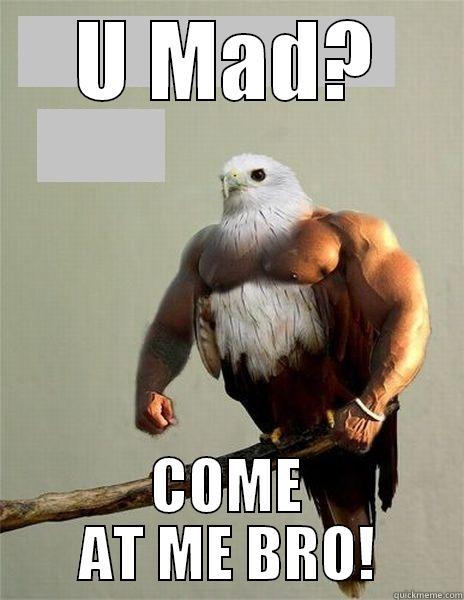 U MAD? COME AT ME BRO! Misc