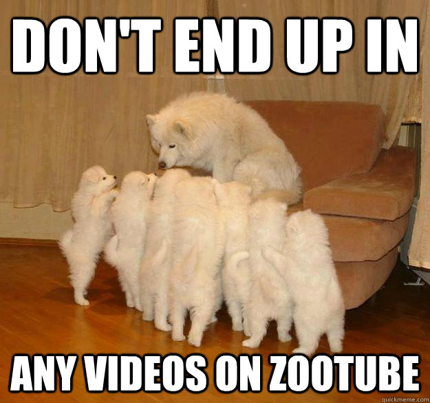 don't end up in any videos on zootube - don't end up in any videos on zootube  Misc