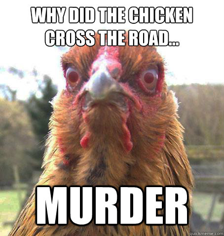 Why did the chicken cross the road... murder - Why did the chicken cross the road... murder  RageChicken
