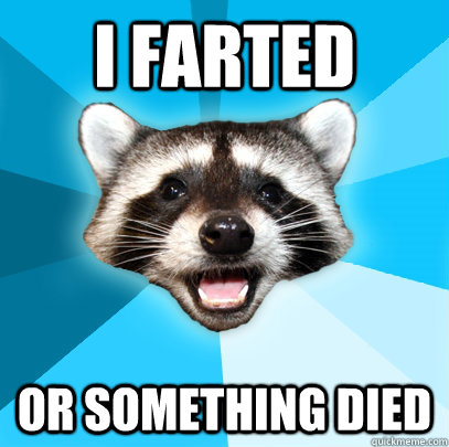 I FARTED OR SOMETHING DIED  Lame Pun Coon