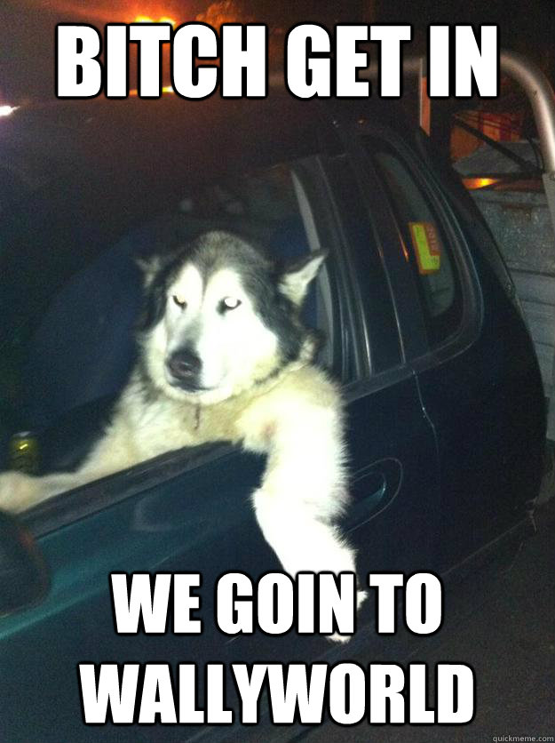 bitch get in we goin to wallyworld   Mean Dog