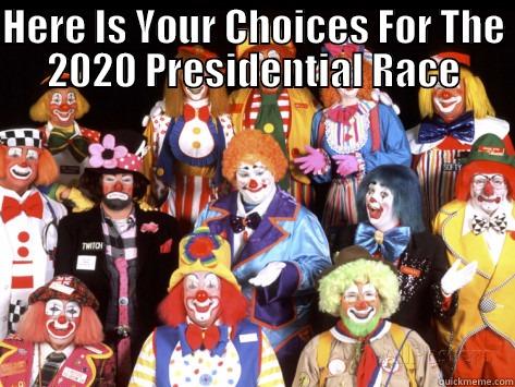 HERE IS YOUR CHOICES FOR THE 2020 PRESIDENTIAL RACE  Misc