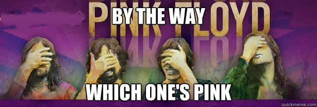by the way which one's pink - by the way which one's pink  Pink Floyd Facepalm