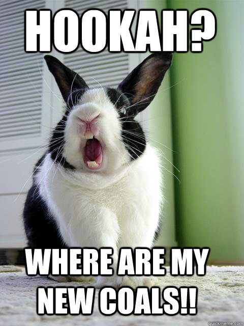 Hookah? Where are my new coals!!  