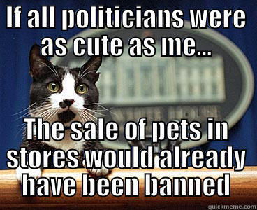 IF ALL POLITICIANS WERE AS CUTE AS ME... THE SALE OF PETS IN STORES WOULD ALREADY HAVE BEEN BANNED Misc