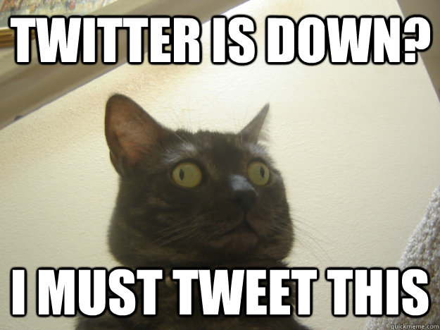 Twitter is down? I must tweet this  Derp Cat