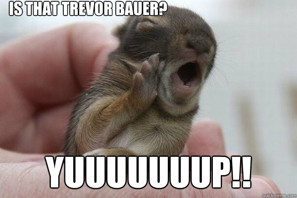 is that trevor bauer? Yuuuuuuup!!  Screaming Squirrel