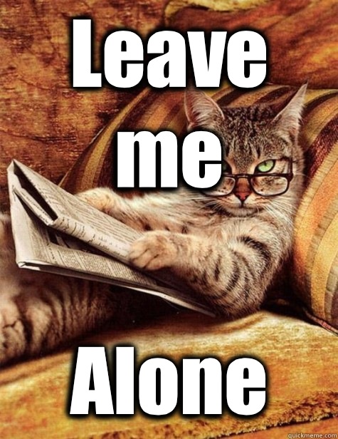 Leave me Alone - Leave me Alone  leave me alone cat