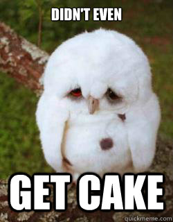 Didn't even Get cake - Didn't even Get cake  Sad Owl