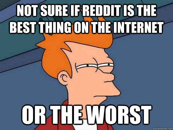not sure if reddit is the best thing on the internet or the worst  Futurama Fry