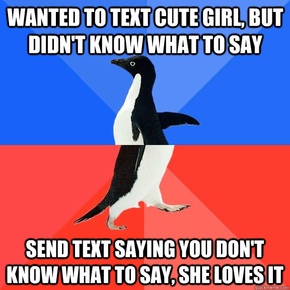 Wanted to text cute girl, but didn't know what to say Send text saying you don't know what to say, She loves it  Socially Awkward Awesome Penguin