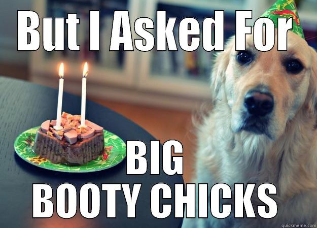 BUT I ASKED FOR BIG BOOTY CHICKS Sad Birthday Dog