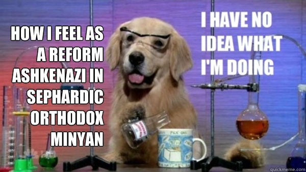 How I feel as a reform Ashkenazi in Sephardic Orthodox minyan   science dog