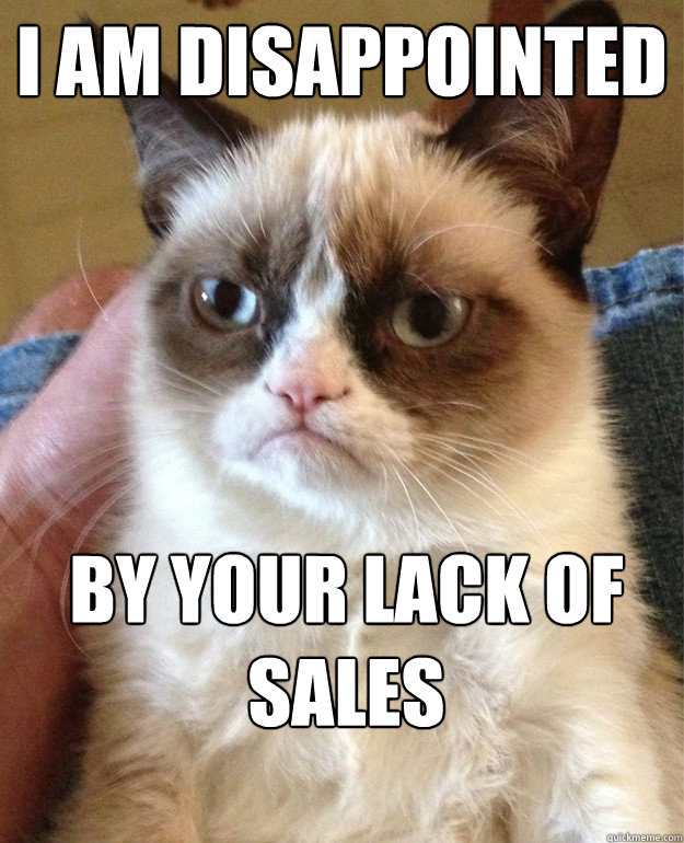 I am disappointed by your lack of sales - I am disappointed by your lack of sales  Grumpy Cat