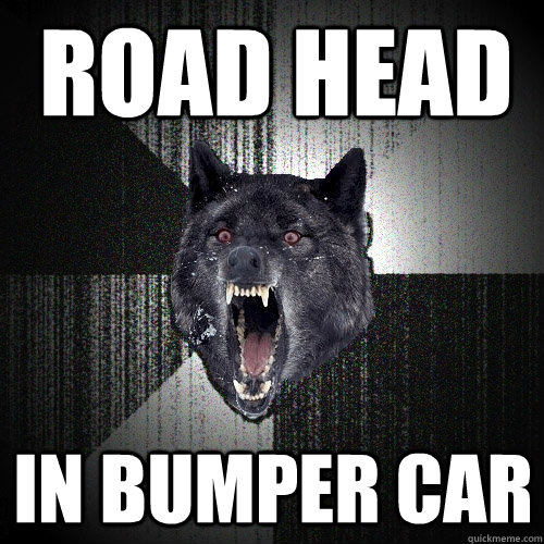 Road head in bumper car  Insanity Wolf