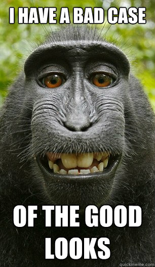I have a bad case of the good looks - I have a bad case of the good looks  Mindful Macaque
