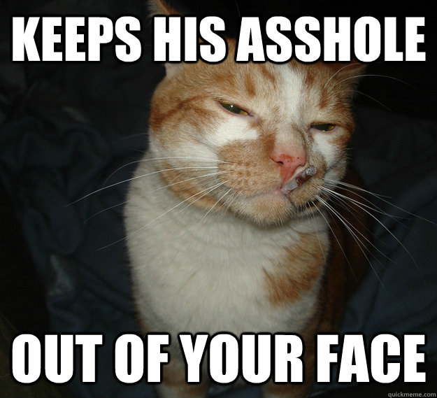 keeps his asshole out of your face - keeps his asshole out of your face  Cool Cat Craig